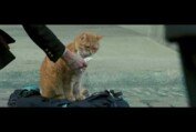 A Street Cat Named Bob - Meeting Bob Featurette - At Cinemas November 4
