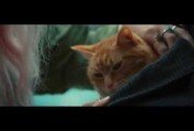 A Street Cat Named Bob - Stairwell Clip - At Cinemas November 4