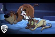 Bunnicula | Season 1 Part 1 - 