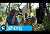 RARE: CREATURES OF THE PHOTO ARK | Official Trailer | PBS