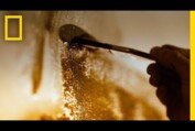 Genius: Picasso - Trailer | National Geographic