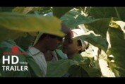 Happy as Lazzaro - Official Trailer (2018)