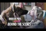 Birds of Prey | Wild Nerds: Visual Effects on Birds of Prey | Warner Bros. Entertainment