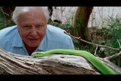 David Attenborough: A Life On Our Planet | Official Trailer