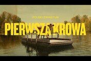 „Pierwsza krowa