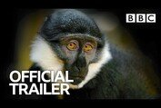 Primates: Trailer | BBC Trailers