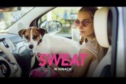 Sweat (2020) spot #5 - śpiewanie w aucie, w kinach od 18 czerwca