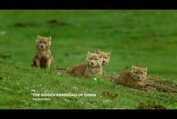 The Hidden Kingdoms Of China on National Geographic WILD | Virgin Media