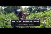 We Don't Deserve Dogs - Official Trailer [4K Cinemascope]