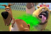 Marmaduke Blows Up The Dog Show! 