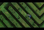 'After Work': first trailer for CPH:DOX world premiere