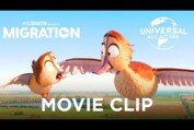 Migration | Too Shy To Go In The Sky | Movie Clip