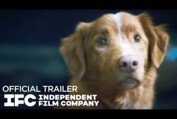 Good Boy - Official Trailer | HD | IFC Films