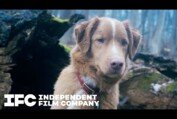 Good Boy | Tickets On Sale | IFC